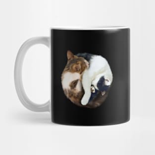 Yin Yang, Cats Cat Lover Kitten,  Chinese Symbol Mug